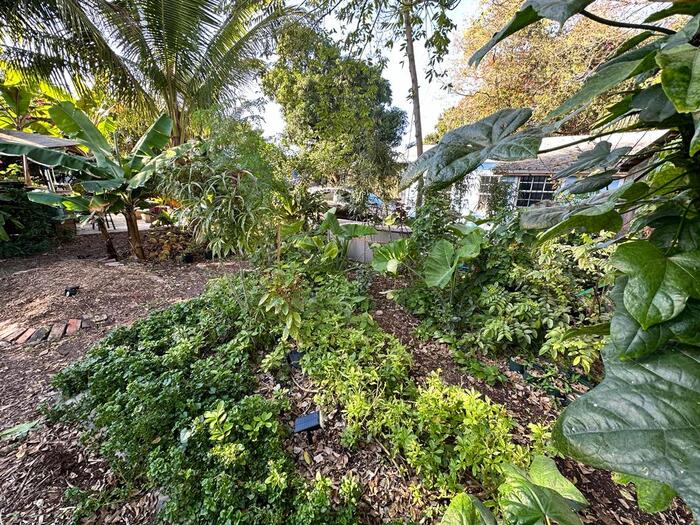  Profile Photos of Edible Landscaping and Fruit Tree Nursery LLC 7637 NE 1st Ave R (Rear - Photo 8 of 19