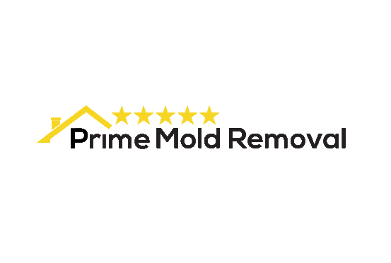 Profile Photos of Prime mold removal . - Photo 1 of 3