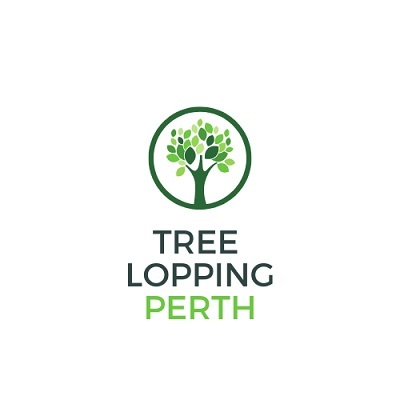  Profile Photos of South Perth Tree Service 170 Civic Boulevard - Photo 1 of 3
