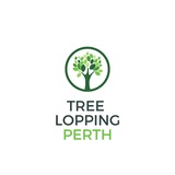South Perth Tree Service, Rockingham