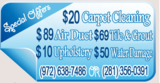 Steam Carpet Cleaning Dallas, dallas