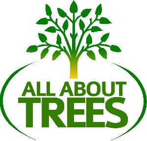  Profile Photos of All About Trees 1663 E Baseline Rd Ste 5N - Photo 1 of 8