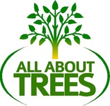  All About Trees 1663 E Baseline Rd Ste 5N 