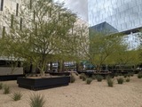  All About Trees 1663 E Baseline Rd Ste 5N 