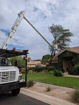 All About Trees, Gilbert