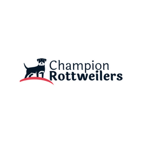  Profile Photos of Champion Rottweilers 1569 W King St, Suite 2C - Photo 1 of 1