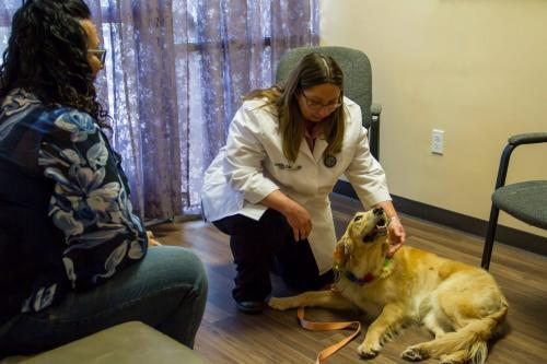  New Album of Murrieta Family Pet Hospital 23771 Washington Avenue #105 and #106 - Photo 2 of 2