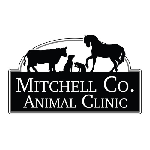  Profile Photos of Mitchell County Animal Clinic 4888 U.S. 19 - Photo 1 of 4
