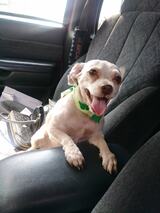 Mitchell County Animal Clinic, Camilla