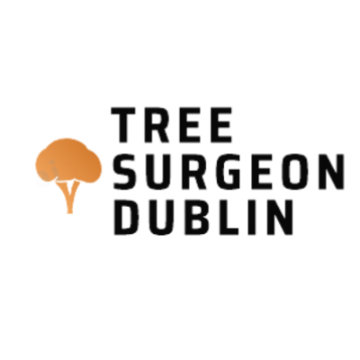  Profile Photos of TreeSurgeonDublin Nill - Photo 1 of 1