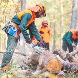  Stavanger TreService - Trefelling Og Trepleie Ekspert JÃ¥ttÃ¥flaten 27 
