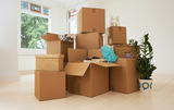  Pro Removalists Brisbane 1/51 Mollison St 