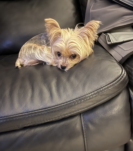  Profile Photos of Daniels Parkway Animal Hospital 6880-1 Daniels Parkway - Photo 1 of 4