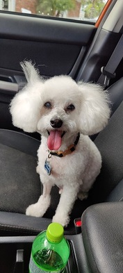  Profile Photos of Daniels Parkway Animal Hospital 6880-1 Daniels Parkway - Photo 2 of 4