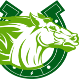 Workhorse Moving and Storage LLC, Spartanburg