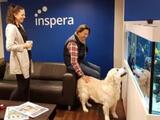 Inspera Digital Assessment, Chicago