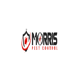  Profile Photos of Morris Cockroach Control Brisbane 188 Charlotte St - Photo 1 of 1