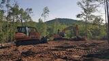 Foltz Land Management, Central