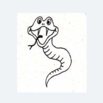  Profile Photos of Darling Downs Snake Catchers 24/7 44 Fraser Street - Photo 1 of 1