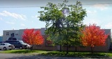 MBI Industrial Manufacturing Group, Mount Brydges