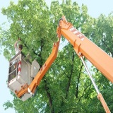 Dependable Tree Service - Baton Rouge, baton rouge