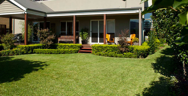  Profile Photos of J & B Buffalo Turf Supplies Sydney - Sir Walter 29 Ridges Lane - Photo 2 of 6