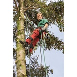 Eagle Tree Service, Eagle