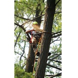 Eagle Tree Service, Eagle
