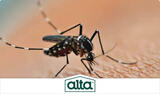 Alta Pest Control, Las Vegas