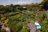 GEOFF STONEBANKS WITH HIS DRIFTWOOD GARDEN IN SEAFORD, WEST SUSSEX, WHICH HE OPENS TO RAISE MONEY FOR CHARITY.Â©RUSSELL SACH - 0771 882 6138, Driftwood Open Garden, SEAFORD