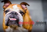 Profile Photos of Meredith Zinner Photography