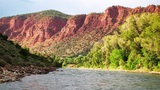 Wade Ash LLC, Glenwood Springs