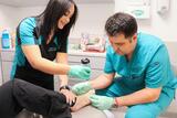 Premier Podiatry: Wayne, Wayne
