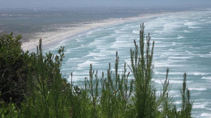  Profile Photos of Tours du Cap Southern Suburbs - Photo 6 of 13