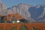  Tours du Cap Southern Suburbs 
