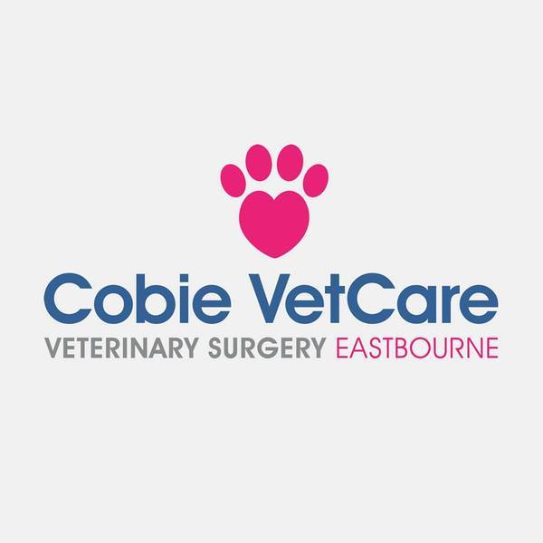 vets in Eastbourne Profile Photos of Cobie VetCare The Enterprise Centre, Station Parade - Photo 1 of 1