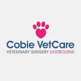 vets in Eastbourne, Cobie VetCare, Eastbourne