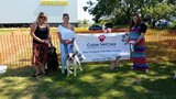 Menus & Prices, Cobie VetCare, Eastbourne