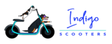 Indigo Scooters, St. Petersburg