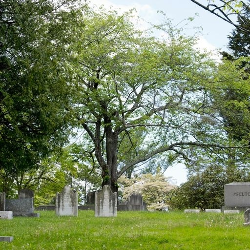  Photos of St. Mary/Putnam Cemetery 35 Parsonage Rd - Photo 6 of 12