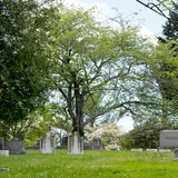  St. Mary/Putnam Cemetery 35 Parsonage Rd 