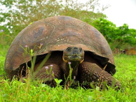  Profile Photos of Voyagers Travel Company 51 Pine Grove Road - Photo 3 of 3