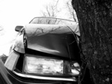  Reese Insurance Agency 935 SR 25 W 