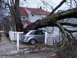 Reese Insurance Agency, Lafayette