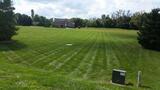 Profile Photos of Tayman Landscaping