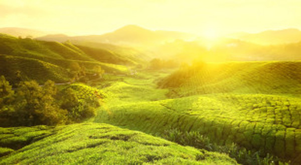  Profile Photos of Tourist Places South India | Kerala Honeymoon Tour Packages janatha junction - Photo 3 of 4