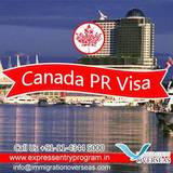 Express Entry Program, New Delhi