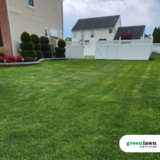 Profile Photos of Green Lawn Fertilizing