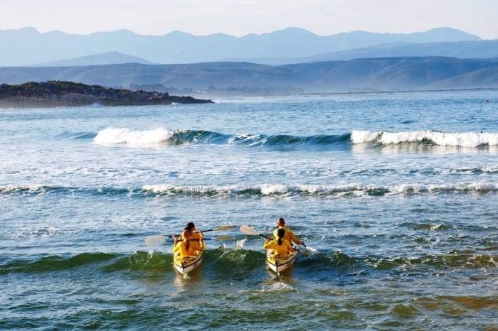 Profile Photos of Dolphin Adventures Sea kayaking Hopwood Street, Central Beach - Photo 1 of 6