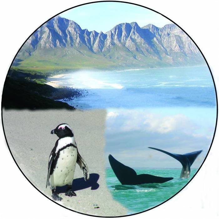  Profile Photos of See Cape Town Tours 7 Bromyard Road - Photo 2 of 3